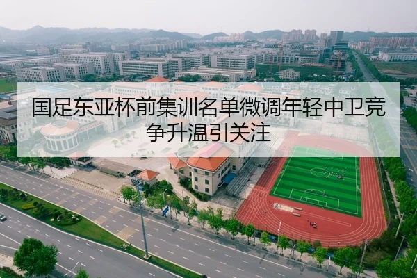 国足东亚杯前集训名单微调年轻中卫竞争升温引关注